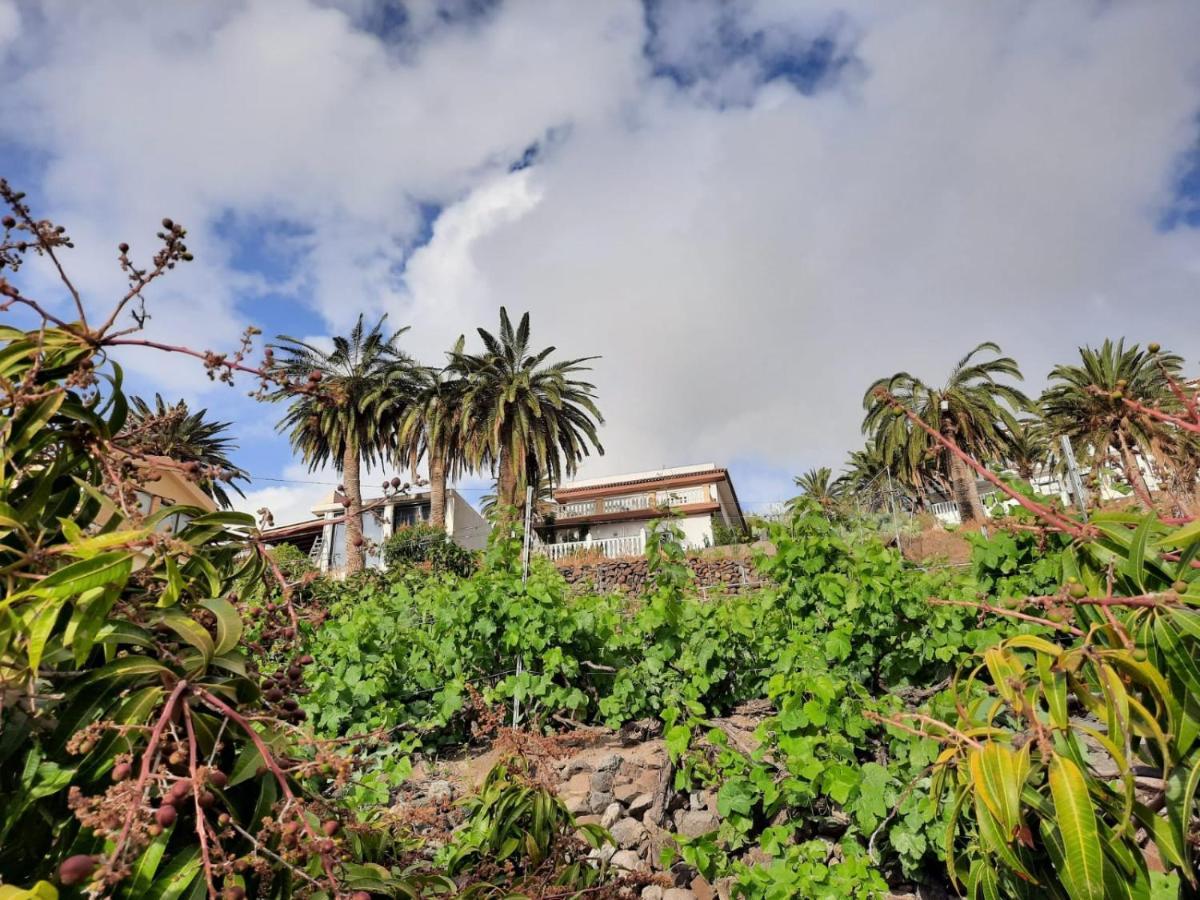 Casa Rural La Vega Alojera Exterior foto